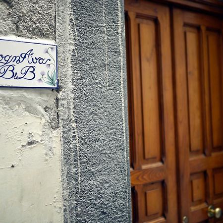 B&B Sognava 살레르노 외부 사진